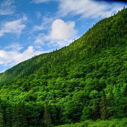 ������, ������ ��������, 46 ���