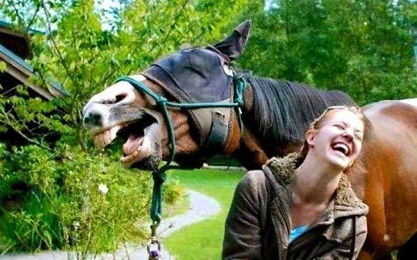 И на бред сивой кобылы... всегда найдётся внимательный слушатель!)))