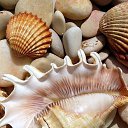 ���� �����, ��������� - ��������� 22 ������� 2018 � ������ ����� -- ��� ���� !!!!!!!!!!�