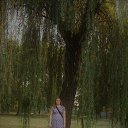 ���� �����, ��������� - ��������� 7 ������� 2018 � ������ ���� ����������