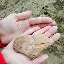 ���� �����, �������, 55 ��� - ��������� 16 ������� 2018 � ������ ���� ����������