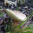 ���� �������, ������������ - ��������� 28 ������ 2018 � ������ �������