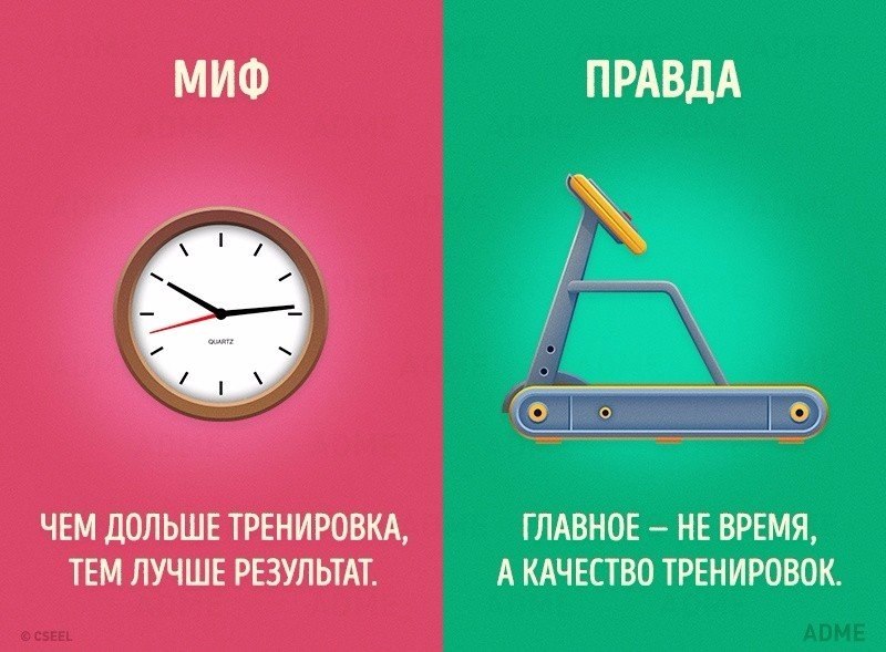 10   ,     .: ADME#@ican