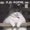���� ����, ����, 44 ���� - ��������� 9 ������� 2018 � ������ ���� ����������