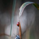 ���� �����, �������, 37 ��� - ��������� 21 �������� 2018 � ������ ���� ����������