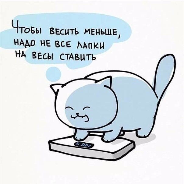   - 16  2018  16:29
