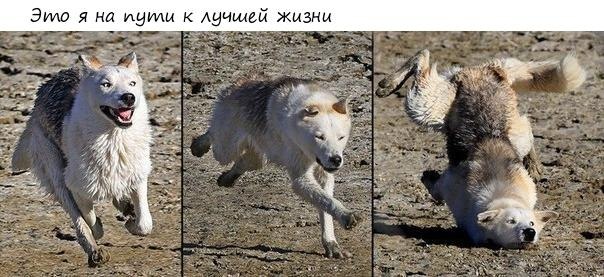 ����� �������� - 5 ����� 2019 � 16:48