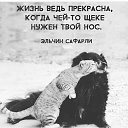 Vitalk@,  -  16  2018    