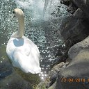 ���� �������, ����, 63 ���� - ��������� 29 ������� 2018 � ������ ���� ����������