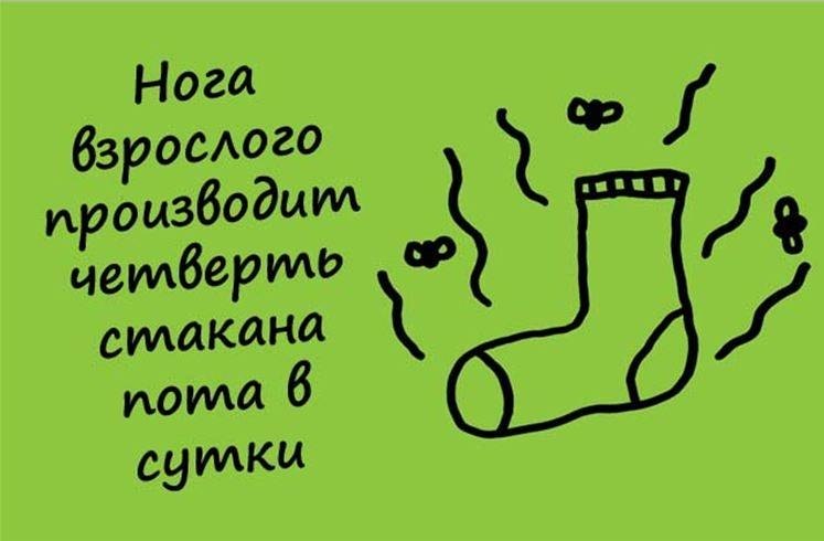  - 6  2019  16:58