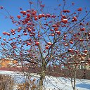 ���� Nadin, �������, 61 ��� - ��������� 2 ������� 2018 � ������ ������ ��������