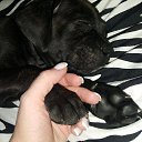 ���� ������, �����������, 52 ���� - ��������� 1 ������� 2019 � ������ ���� ����������