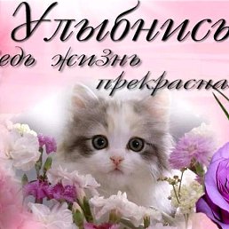 Rada, ���������, 54 ����