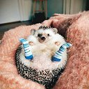 ���� I Love Musik, ����, 27 ��� - ��������� 22 ������ 2019 � ������ ���� ����������