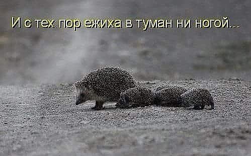 ***Victoria Viktorovna*** - 25  2019  15:28