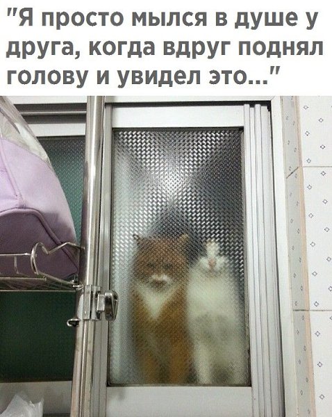   - 1  2018  16:33