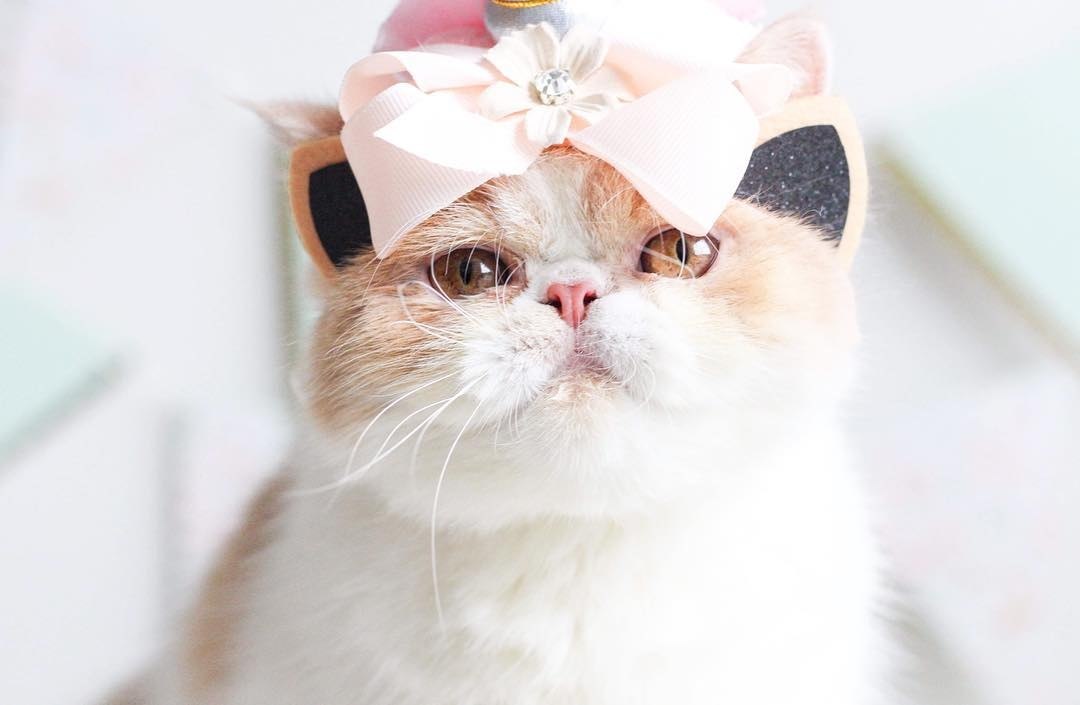    :3 - 2
