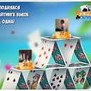  , , 41  -  5  2019    -