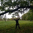  Zenja, -, 40  -  24  2018    