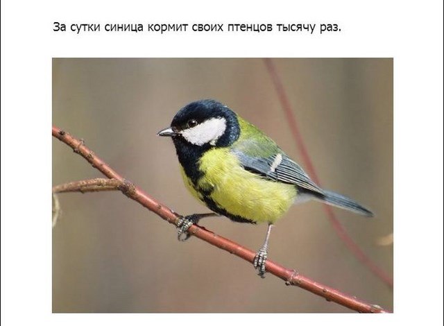 , ... - 6