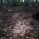 ���� ����, ���������, 60 ��� - ��������� 4 ������� 2018 � ������ �����