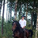 ���� ����, ��������� - ��������� 3 ������� 2018 � ������ ���� ����������