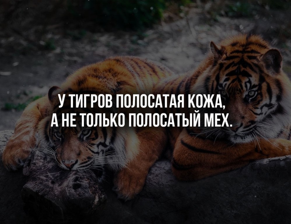   :    - 11  2019  16:46