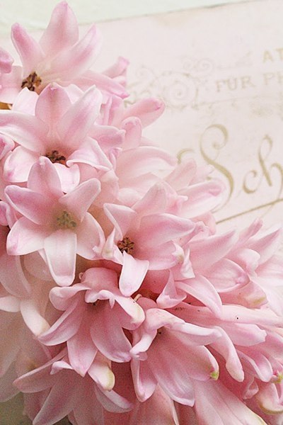  ).      , ,     ... - 3