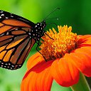 ���� ������, ���������, 30 ��� - ��������� 1 ������� 2018 � ������ ���� ����������