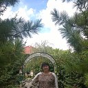 ���� ������, ��������� - ��������� 3 ������� 2019 � ������ ���� ����������