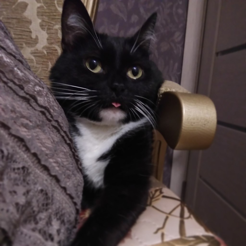 #�������_�����.� 2013 �������� ������, ������ �������,� ������� ������,�������� ��������� �� ����� ... - 7