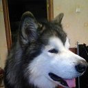 ���� Vyacheslav, �����, 47 ��� - ��������� 19 ������� 2018 � ������ ������ ��������