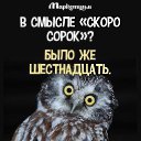 ���� �����, ��������� - ��������� 8 ������ 2018 � ������ ���� ����������