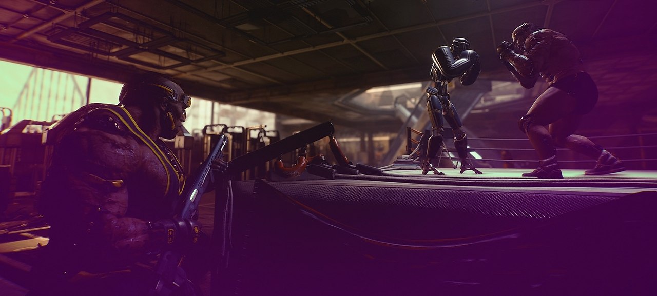   Cyberpunk 2077  ,    .