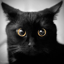 Danny, ����, 39 ���