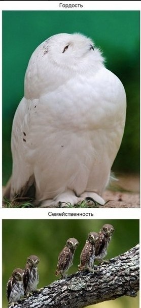  co o ec c aeca... o oce: - 6