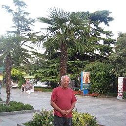 �����, ��������