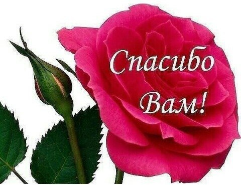   ,    . - 4  2020  23:25