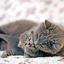  Saturn,  -  21  2019    