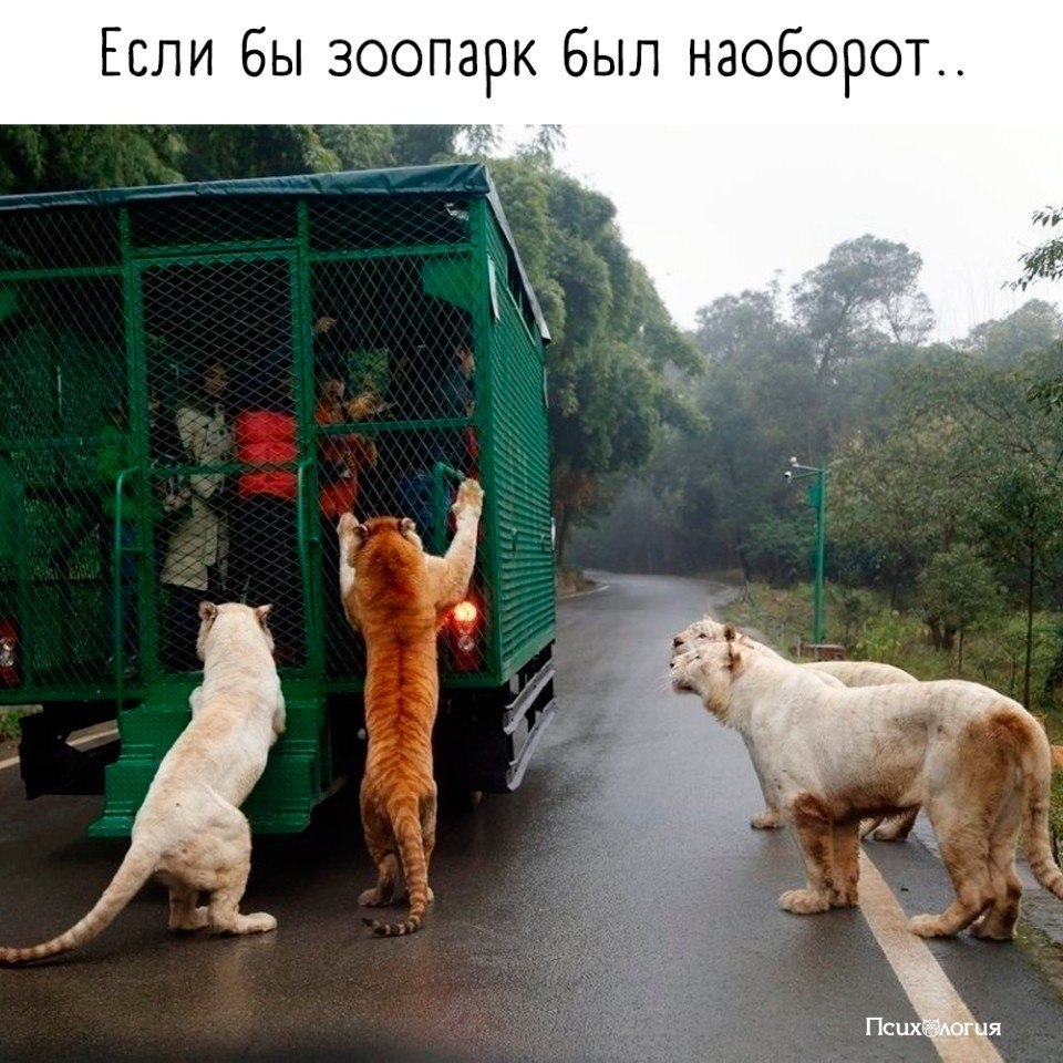  - 2  2019  01:57