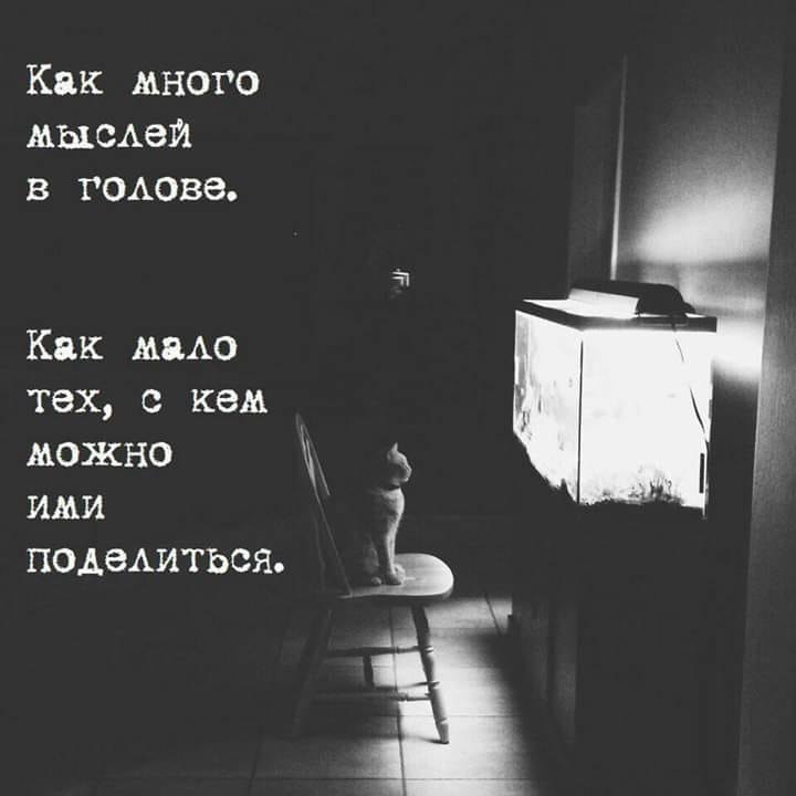 Nastya - 26  2019  10:49