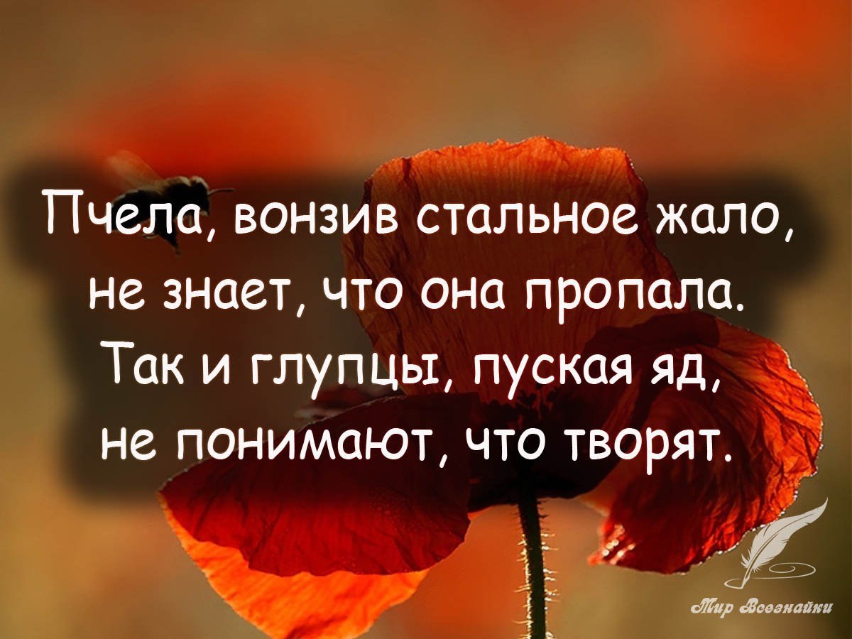   ! - 5  2019  19:53