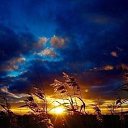 ���� �����, ����������-���������, 57 ��� - ��������� 28 ������ 2019 � ������ ���� ����������