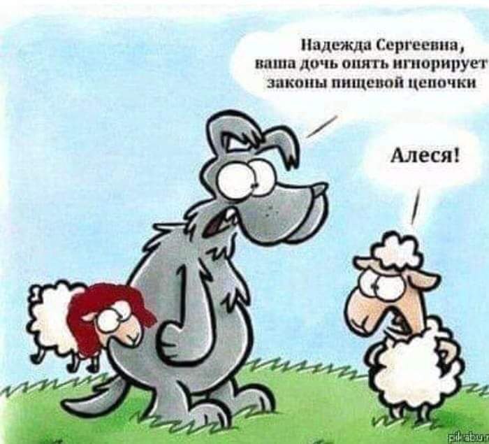 ������ - 11 ���� 2019 � 21:45