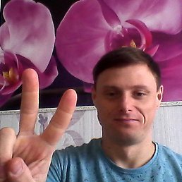 ����, ��������-��-������, 40 ���