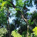 ���� �����, �����, 31 ��� - ��������� 25 �������� 2019 � ������ ���� ����������