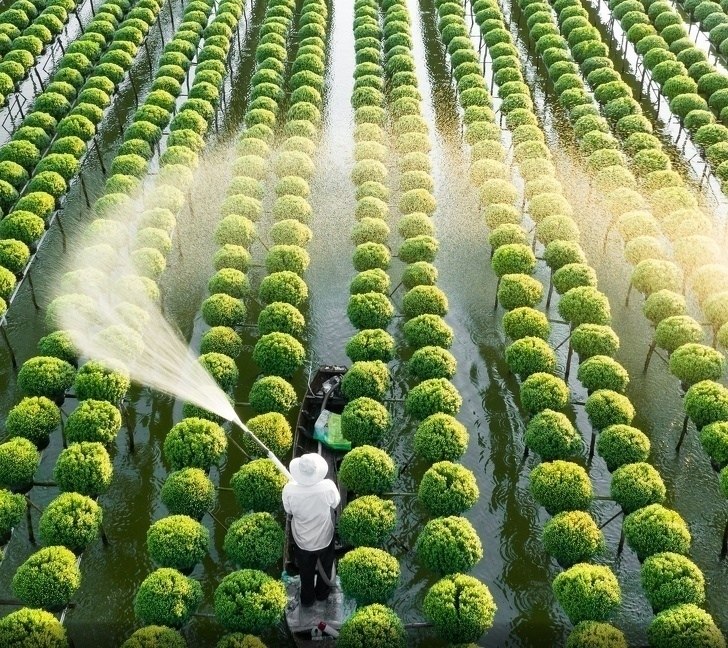  National Geographic   - 5