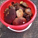 ���� �������, ����-���������, 54 ���� - ��������� 25 �������� 2019 � ������ ���� ����������