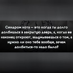 Lika, ���������, 40 ���
