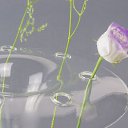 ���� Xxx, ������ - ��������� 28 ���� 2019 � ������ ���� ����������